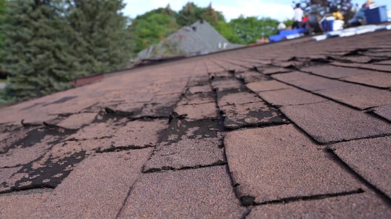 Best Chimney Flashing Repair  in Fort Calhoun, NE
