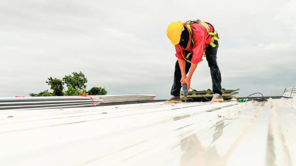 Best Rubber Roofing (EPDM, TPO)  in Fort Calhoun, NE