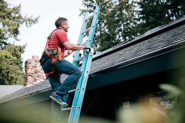Best Asphalt Shingles Roofing  in Fort Calhoun, NE